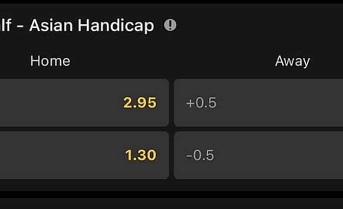 Handicap Bet