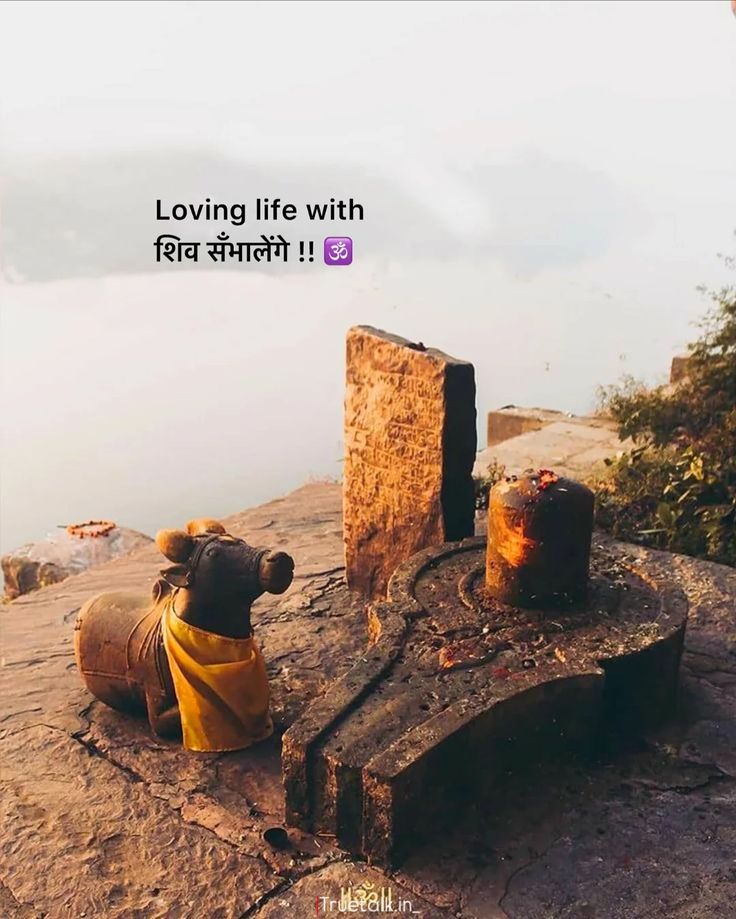 Mahadev Shayari In Hindi 2 Line